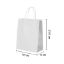 White Kraft paper bags with Twisted Handles - 19 x 21.5 x 8 cm