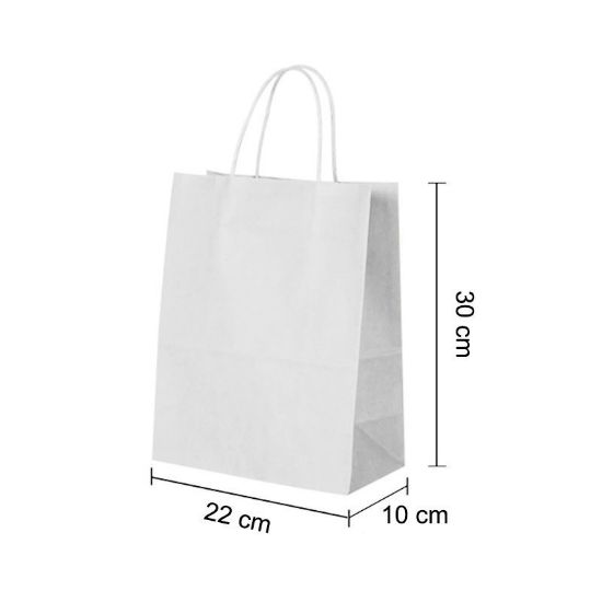 White Kraft paper bags with Twisted Handles - 22 x 30 x 10 cm