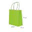 Paper Bags with Twisted Handle (Green) 26x31x12 cm