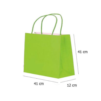 Paper Bags with Twisted Handle (Green) 41x41x12 cm