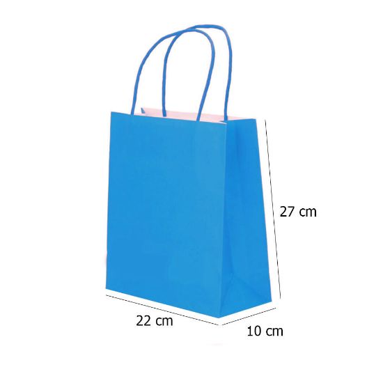 Paper Bags with Twisted Handle (Light Blue) 22x27x10 cm